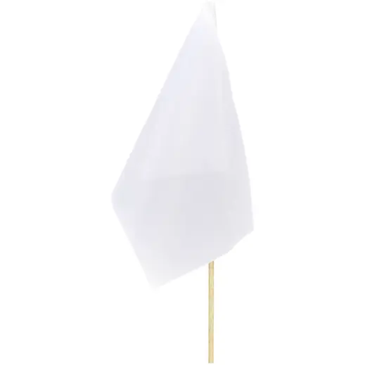 Champion Small Hand Flag - 30cm x 20cm Blank